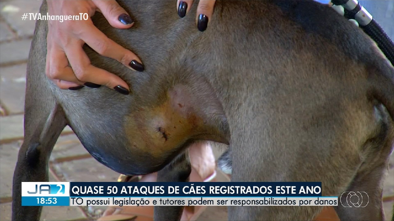 VÍDEOS: Jornal Anhanguera 2ª Edição-TO de quinta-feira, 19 de junho de 2025