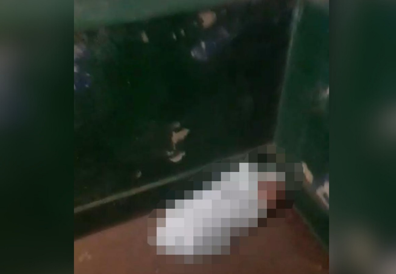 Vídeo mostra momento em que bebê abandonado na porta de secretaria é encontrado por servidor de Filadélfia