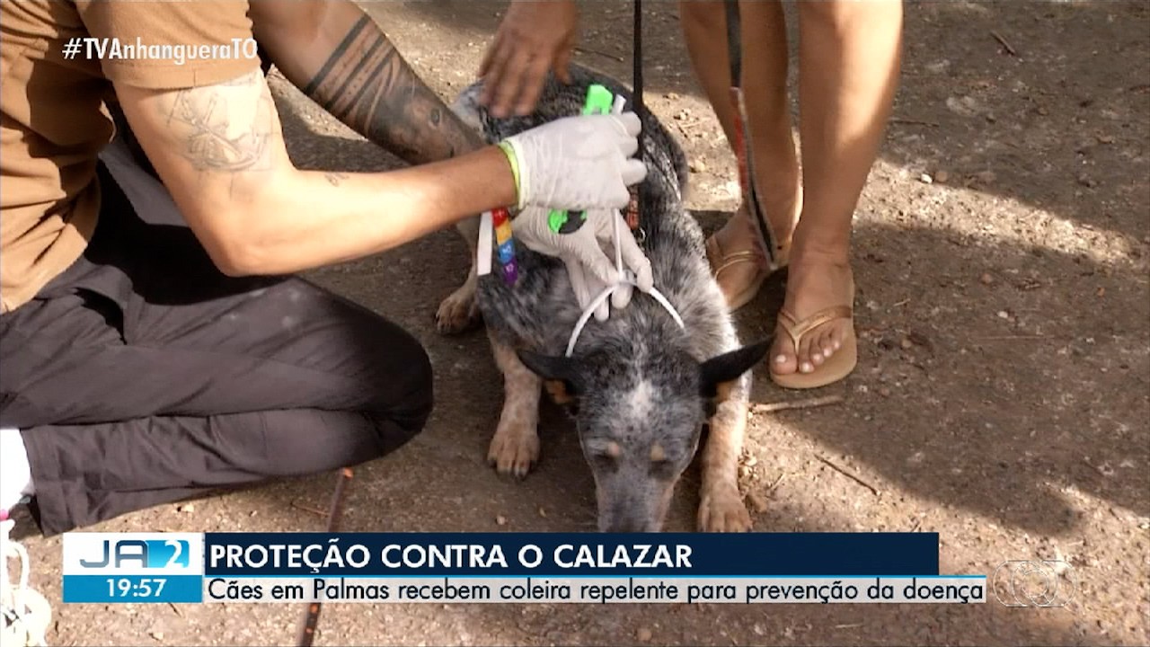 VÍDEOS: Jornal Anhanguera 2ª Edição – TO de sábado, 5 de julho de 2025