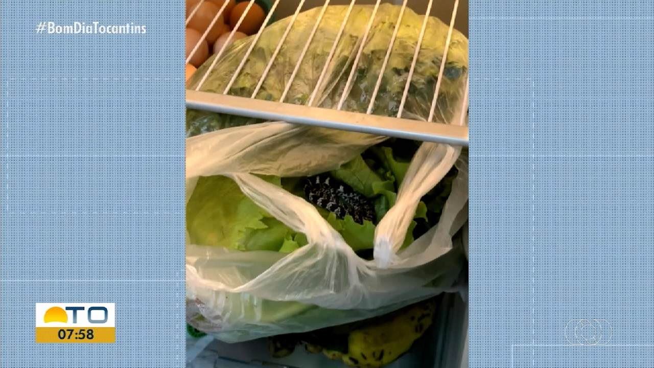 VÍDEOS: Bom Dia Tocantins de segunda-feira, 21 de julho de 2025