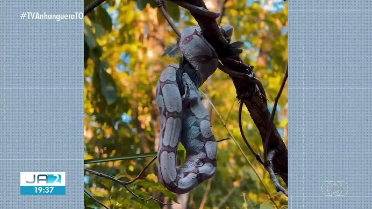 VÍDEO: Jornal Anhanguera 2ª Edição-TO de quinta-feira, 24 de julho de 2025