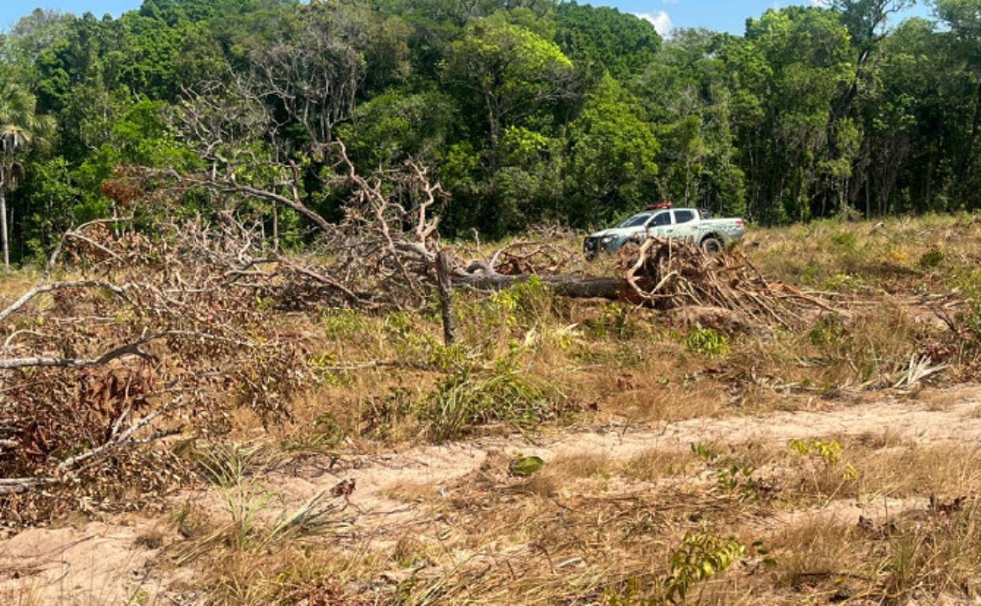 Suspeito de desmatar área de reserva legal é multado em R$ 690 mil