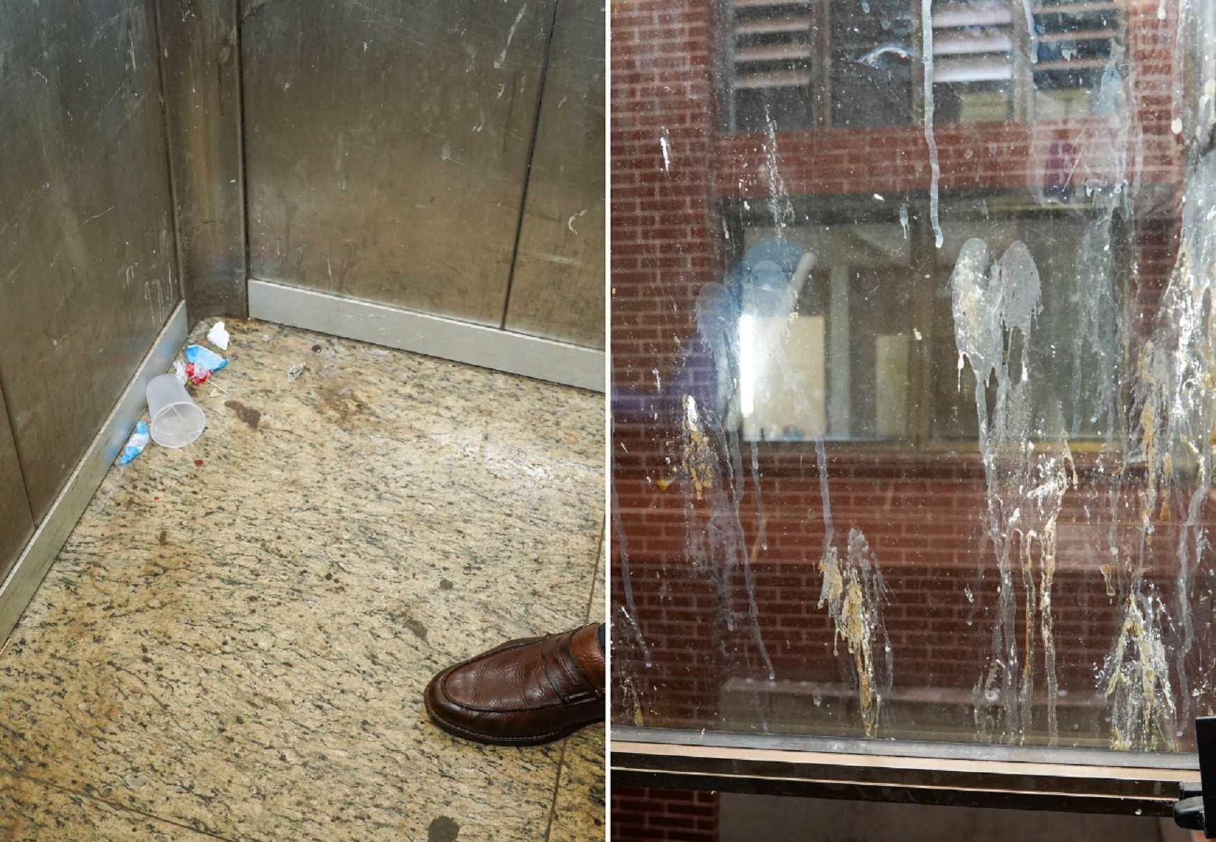 Vistoria encontra fezes de pombo e até baratas no maior hospital público do Tocantins, diz MP